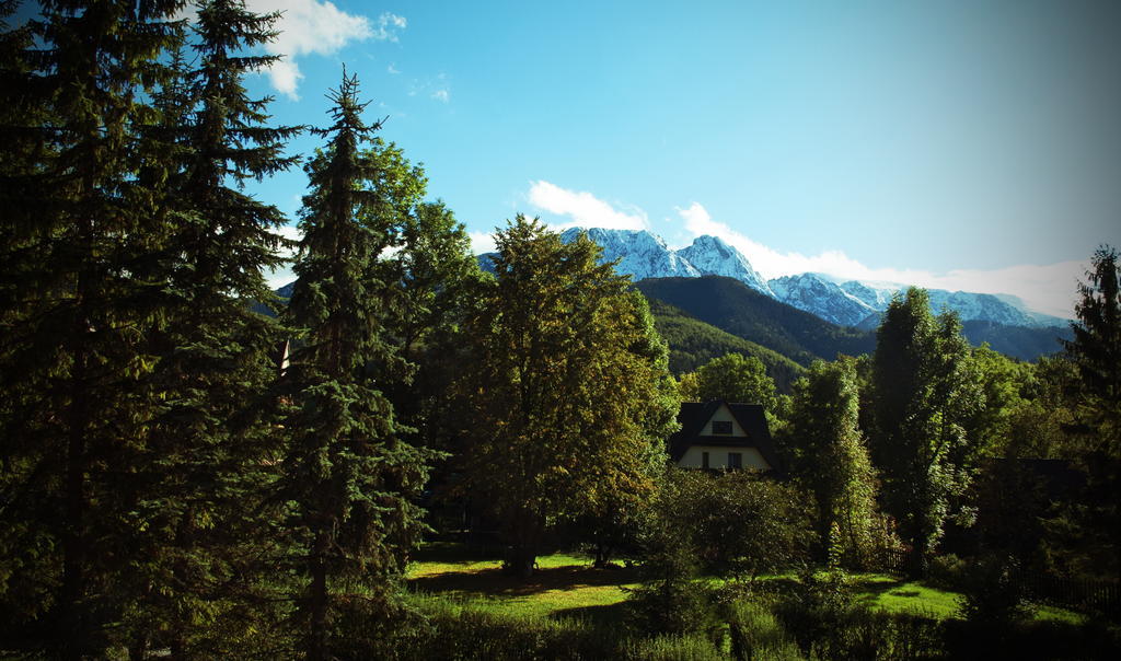 Вілла Klimkowka Закопане Номер фото